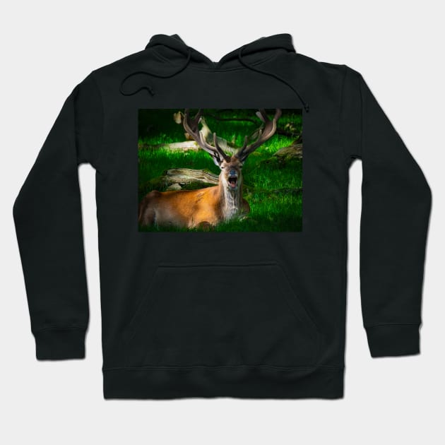 stag 3 Hoodie by outlawalien